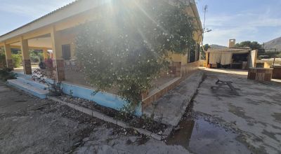 Finca - Sale - Aspe - Aspe