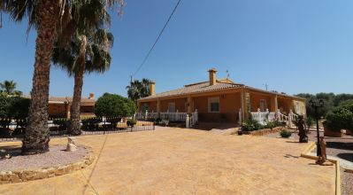 Casa Rural - Venta - Crevillente - Crevillente