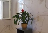 Sale - Apartments - Orihuela Costa