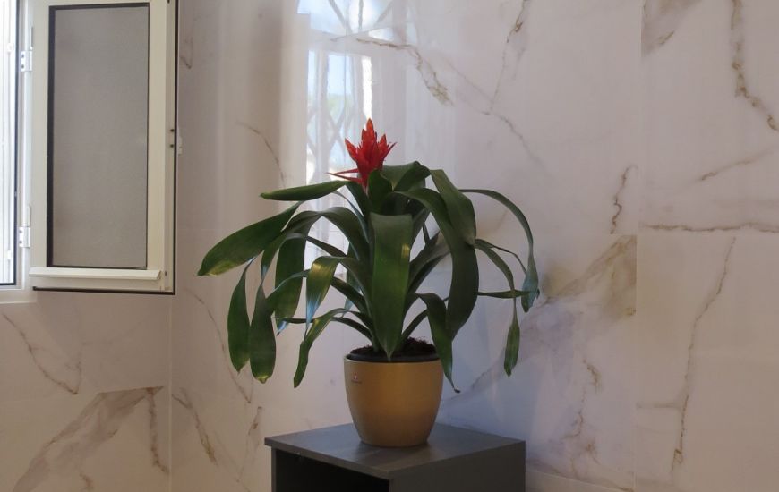 Sale - Apartments - Orihuela Costa