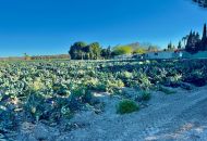 Sale - Country Property - Guardamar del Segura