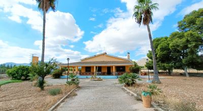 Finca - Sale - Aspe - Aspe