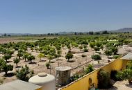 Sale - Finca - Orihuela