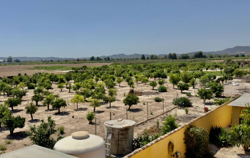 Sale - Finca - Orihuela