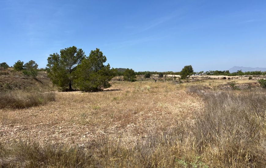 Sale - Land - Hondon de los Frailes
