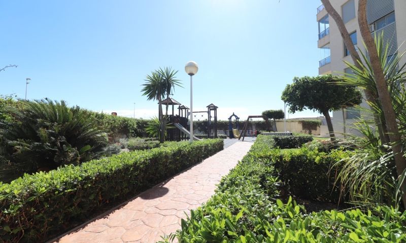 Sale - Apartments - Guardamar del Segura