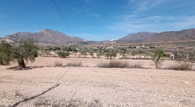 Rijtjeshuis - Sale - Orihuela - Orihuela