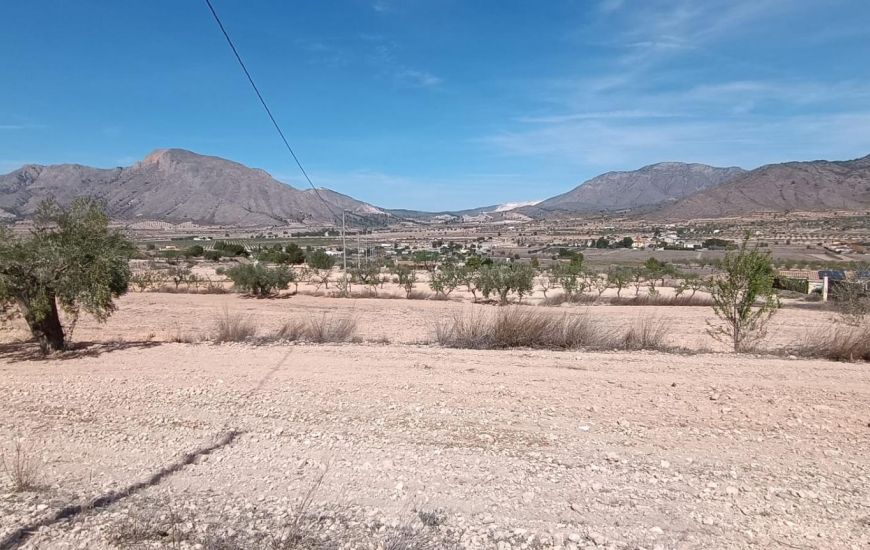 Venta - Adosado - Orihuela