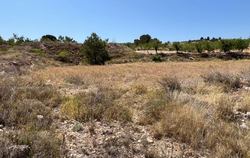 Sale - Land - Hondon de los Frailes