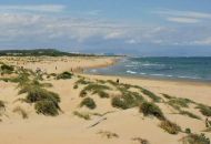 Nueva construcción  - Apartamentos - Guardamar del Segura