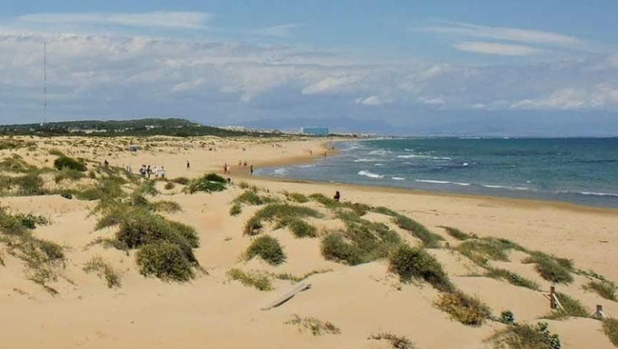 Nueva construcción  - Apartamentos - Guardamar del Segura