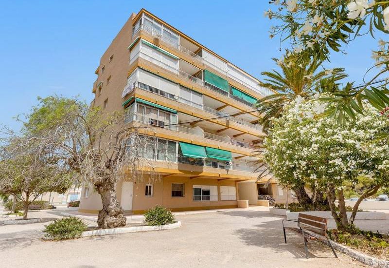 Sale - Ground floor apartment - Guardamar del Segura