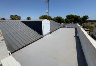 Sale - Finca - Torrellano