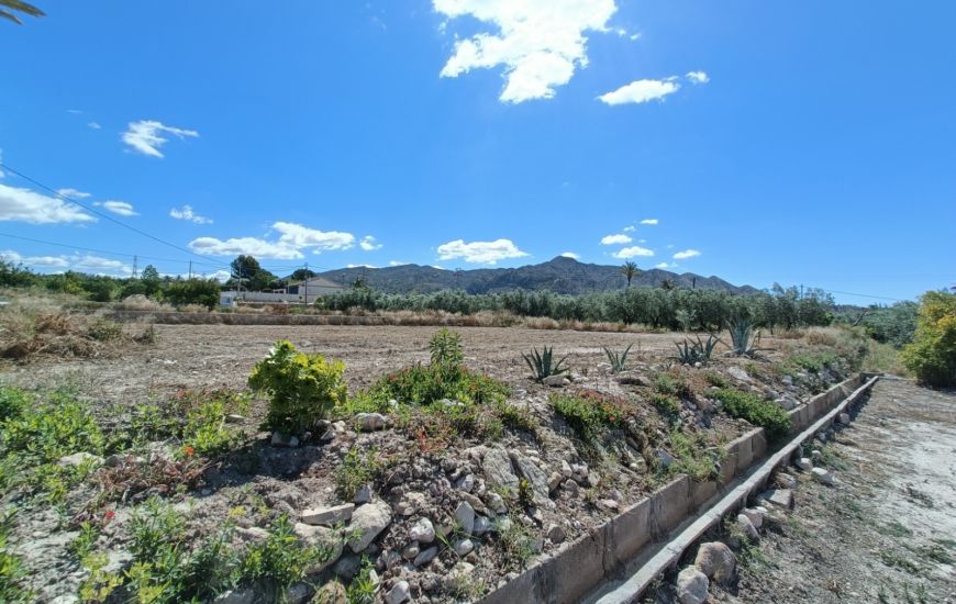 Sale - Finca - Abanilla
