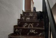 Sale - Villa - Montserrat