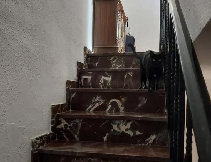 Sale - Villa - Montserrat