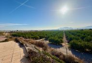 Venta - Casa Rural - Orihuela