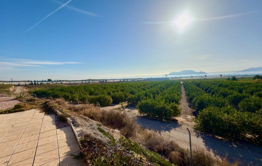 Venta - Casa Rural - Orihuela