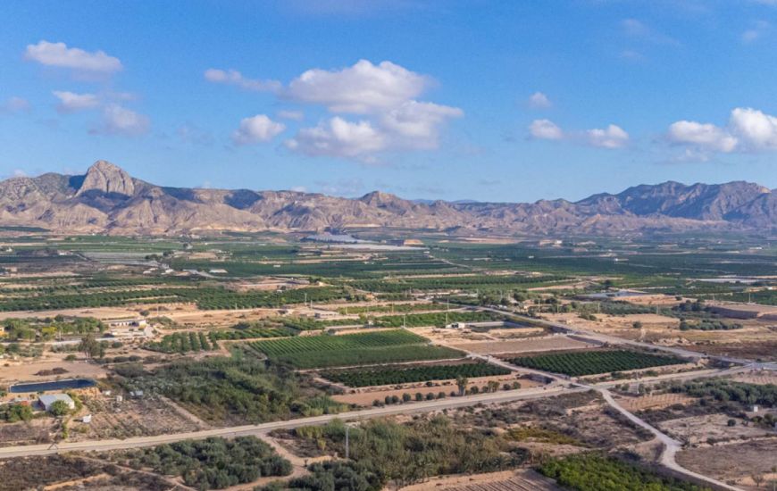 Venta - Casa Rural - Orihuela
