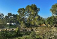 Sale - Apartments - 