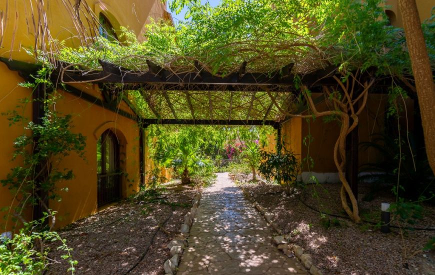 Sale - Apartments - Punta Prima