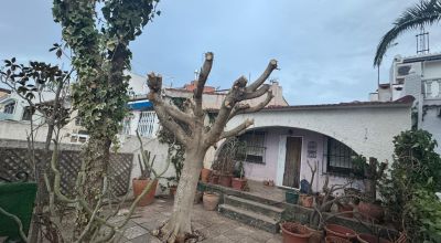 Bungalow - Sale - Ciudad Quesada - Ciudad Quesada