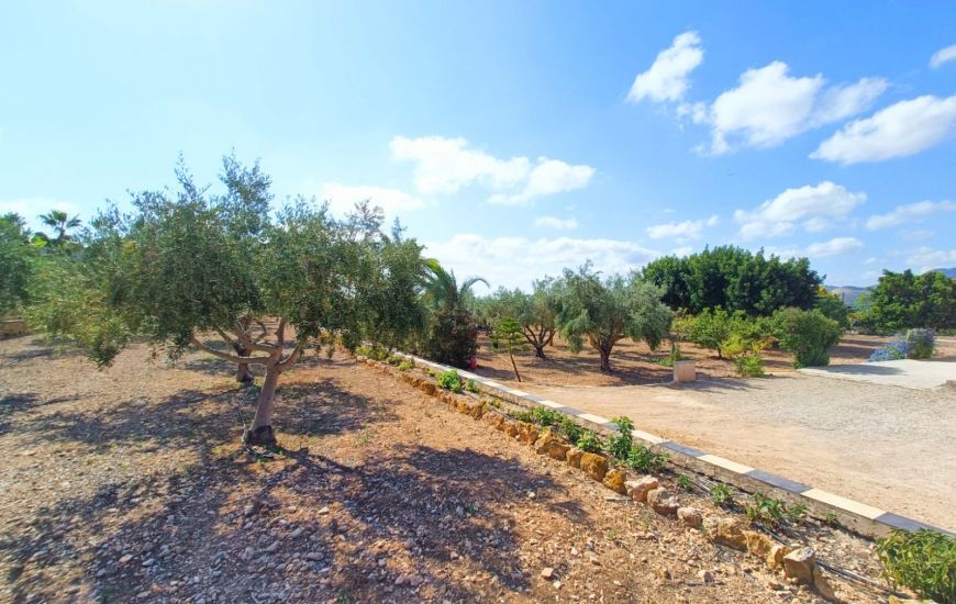 Venta - Casa Rural - Aspe