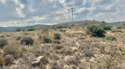 Land - Sale - Aspe - Aspe