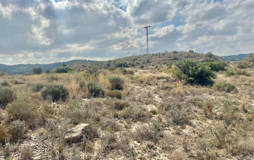 Venta - Terreno - Aspe
