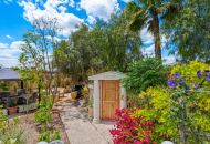 Sale - Finca - Catral