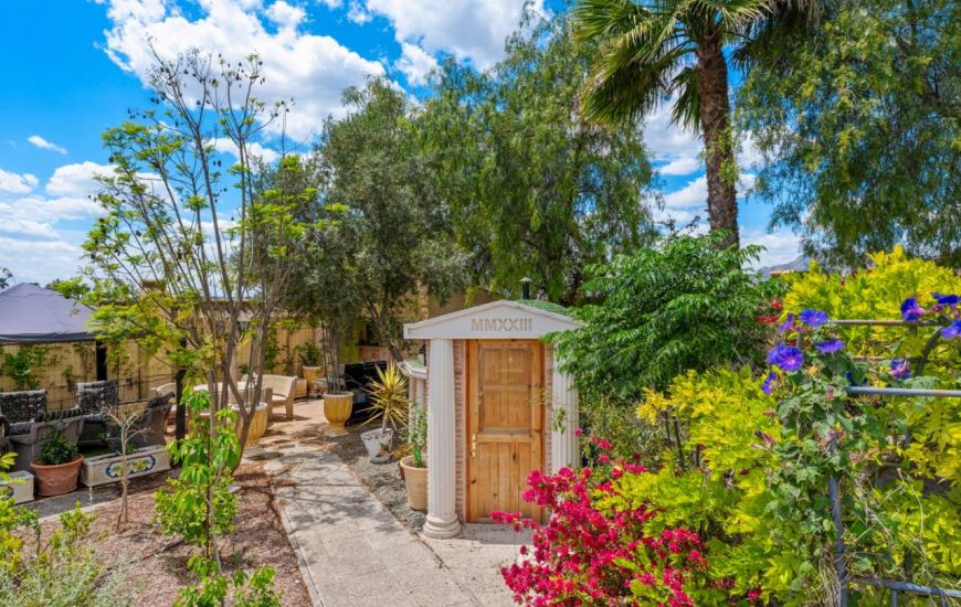Sale - Finca - Catral