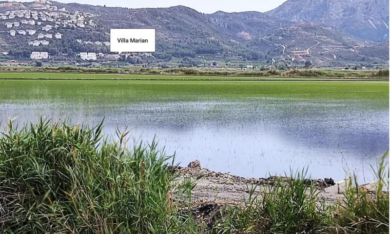 Venta - Apartamentos - 