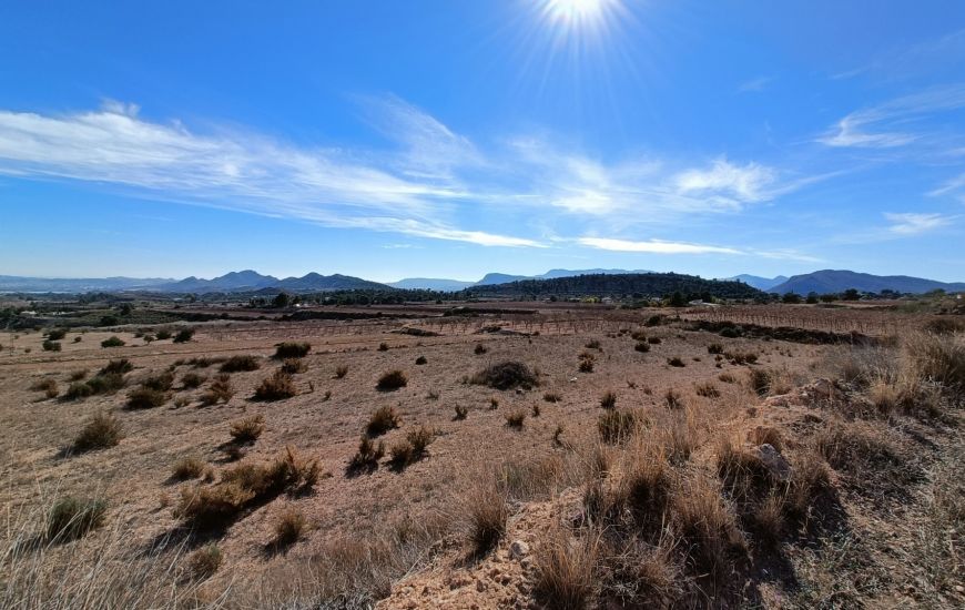 New Build - Country Property - Novelda