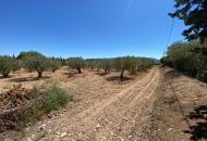 Sale - Finca - Salinas