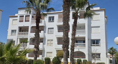 Apartments - Sale - Villamartin - Villamartin