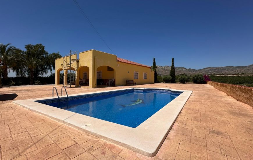 Sale - Finca - Albatera