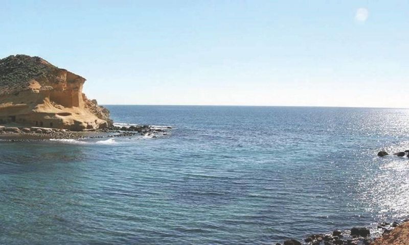 Venta - Apartamentos - 