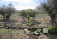 Sale - Finca - Novelda