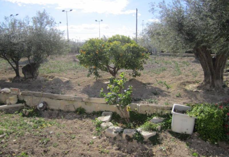 Sale - Finca - Novelda