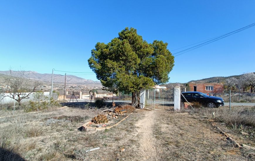 Venta - Casa Rural - Hondon de los Frailes