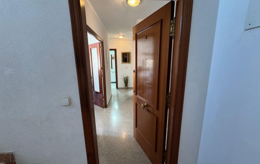 Sale - Apartamento - San Miguel de Salinas - San Miguel De Salinas