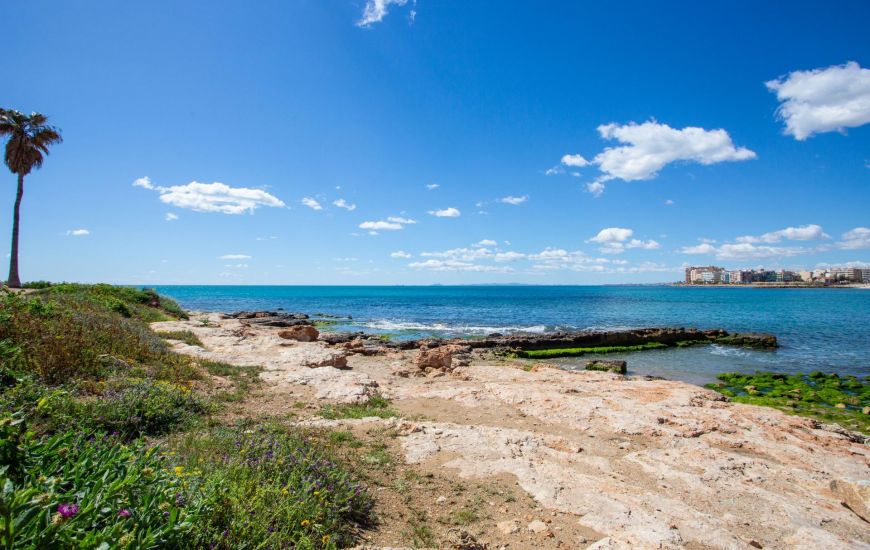 Sale - Apartments - Torrevieja