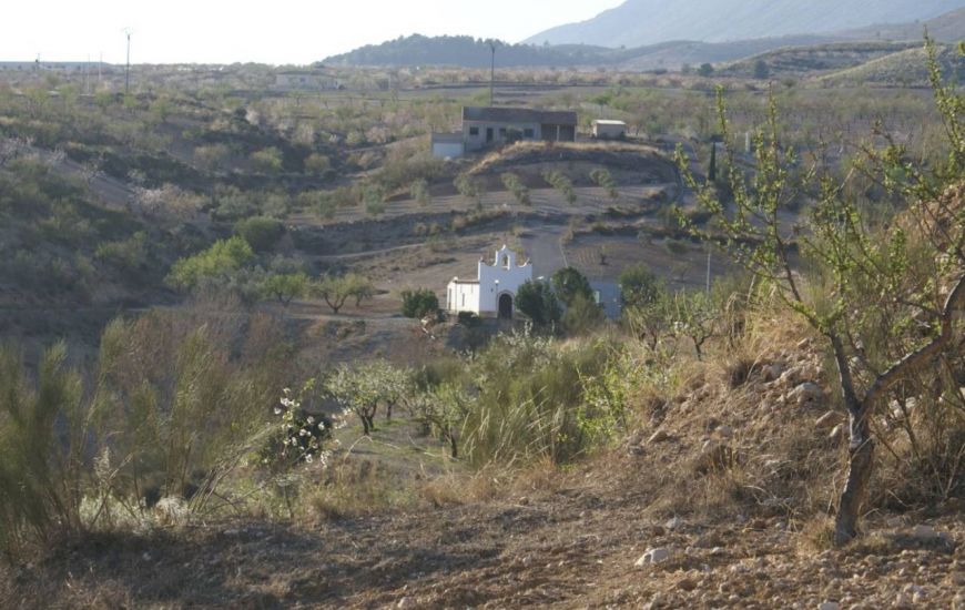 Sale - Land - Murcia
