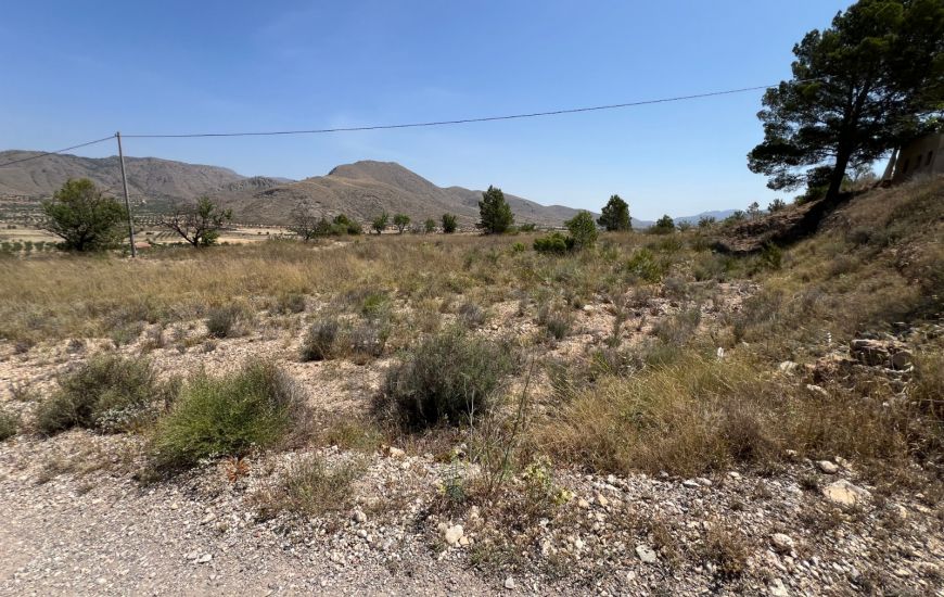 Sale - Land - Hondon de los Frailes