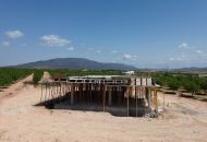 New Build - Finca - Pinoso