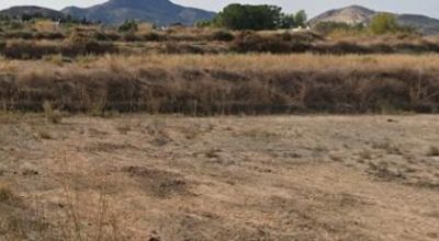 Land - Sale - Aspe - Aspe