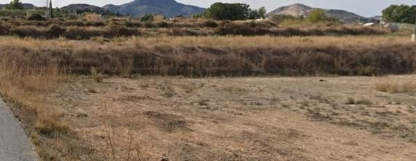 Venta - Terreno - Aspe