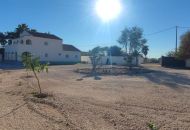 Sale - Finca - Catral