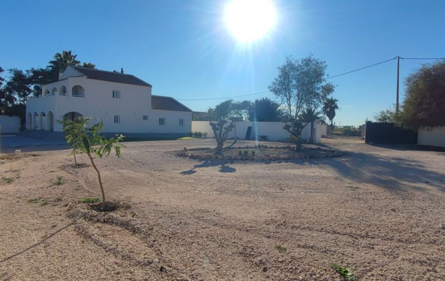 Sale - Finca - Catral