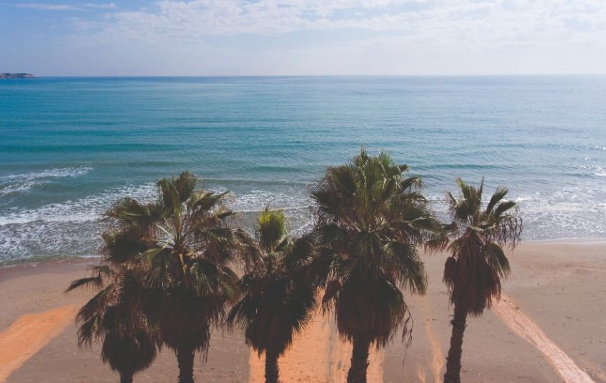 Nueva construcción  - Apartamentos - Campoamor